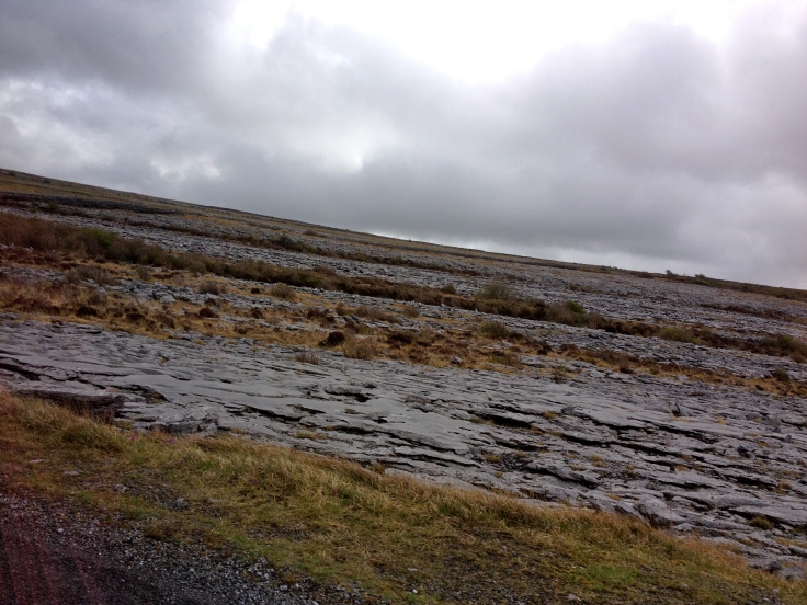 The Burren. Flat rock as far as the eye can see.