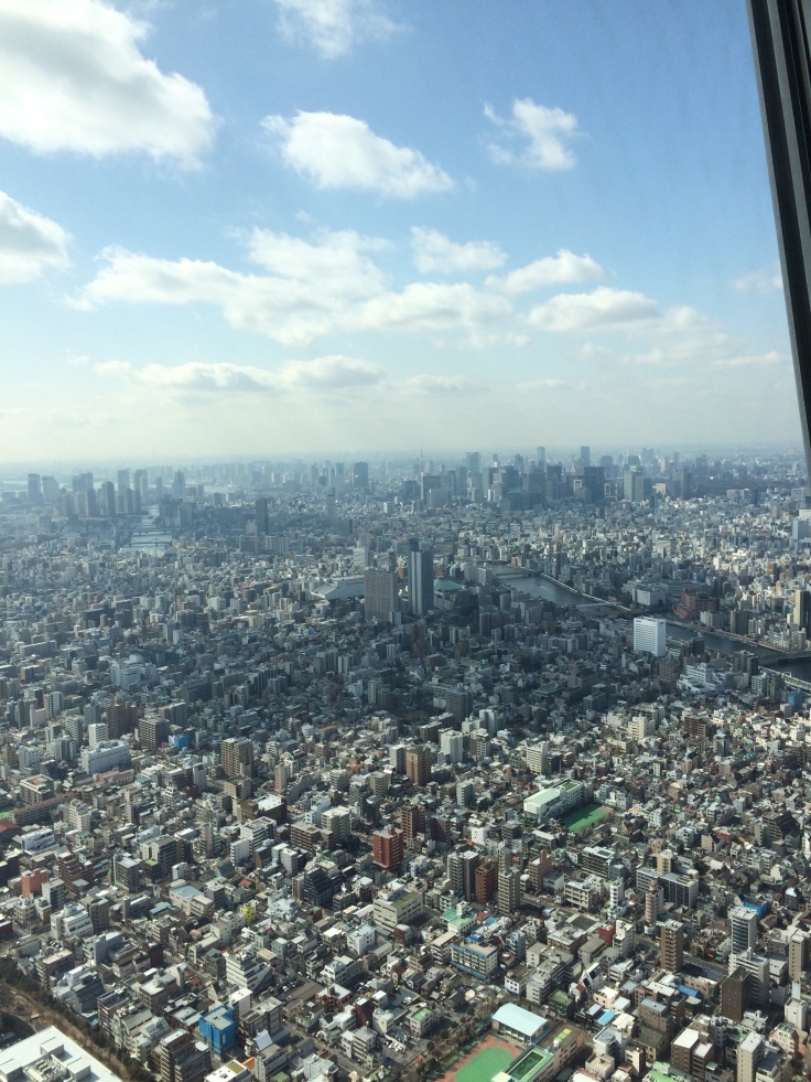 The view from the first deck of the Skytree.